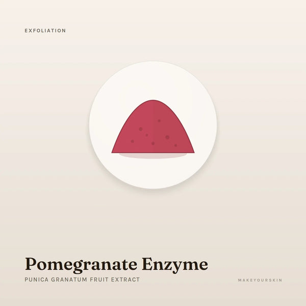 Pomegranate Enzyme (Punica Granatum Fruit Extract) — powder, Global — MakeYourSkin