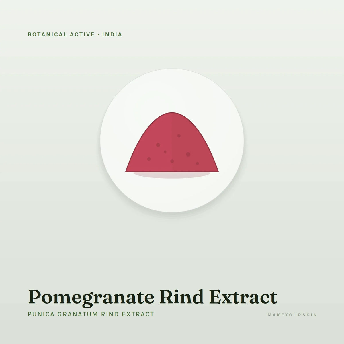 Pomegranate Rind Extract (Punica Granatum Rind Extract) — powder, India · Ayurveda — MakeYourSkin