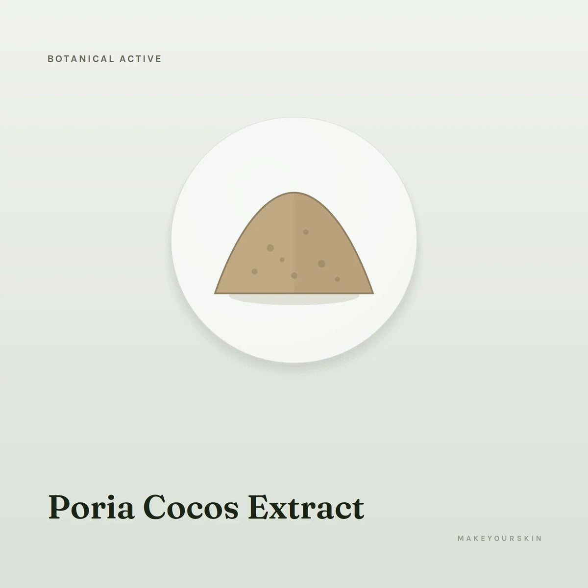 Poria Cocos Extract — powder, Global — MakeYourSkin