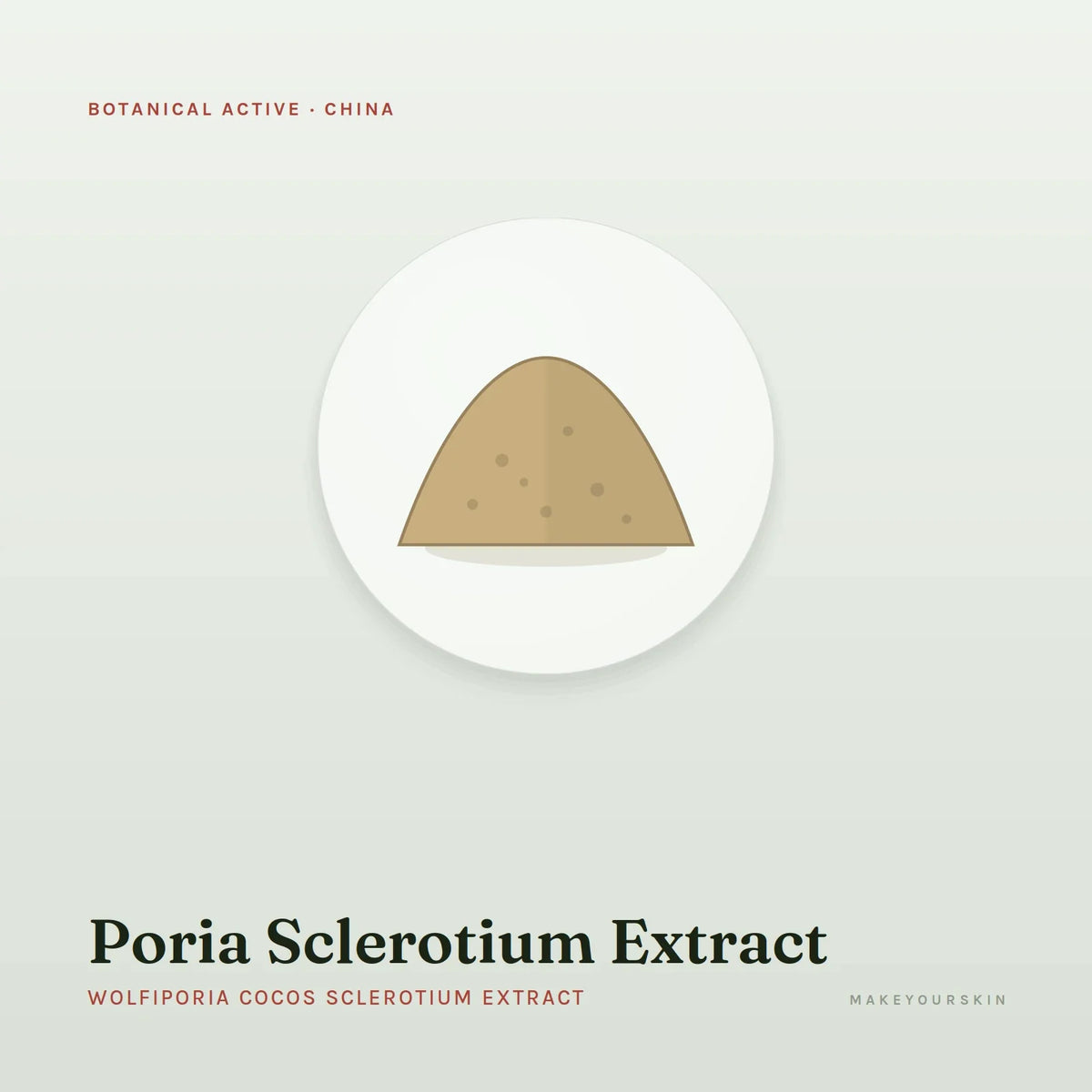 Poria Sclerotium Extract (Wolfiporia Cocos Sclerotium Extract) — powder, China · TCM — MakeYourSkin
