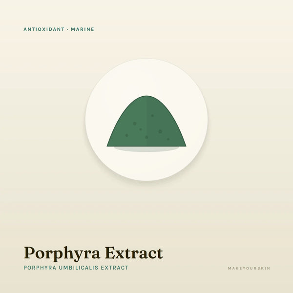 Porphyra Extract (Porphyra Umbilicalis Extract) — powder, Marine · Algae — MakeYourSkin