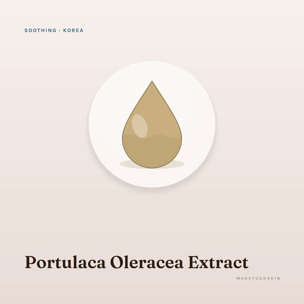 Portulaca Oleracea Extract — liquid, Korea · K-Beauty — MakeYourSkin
