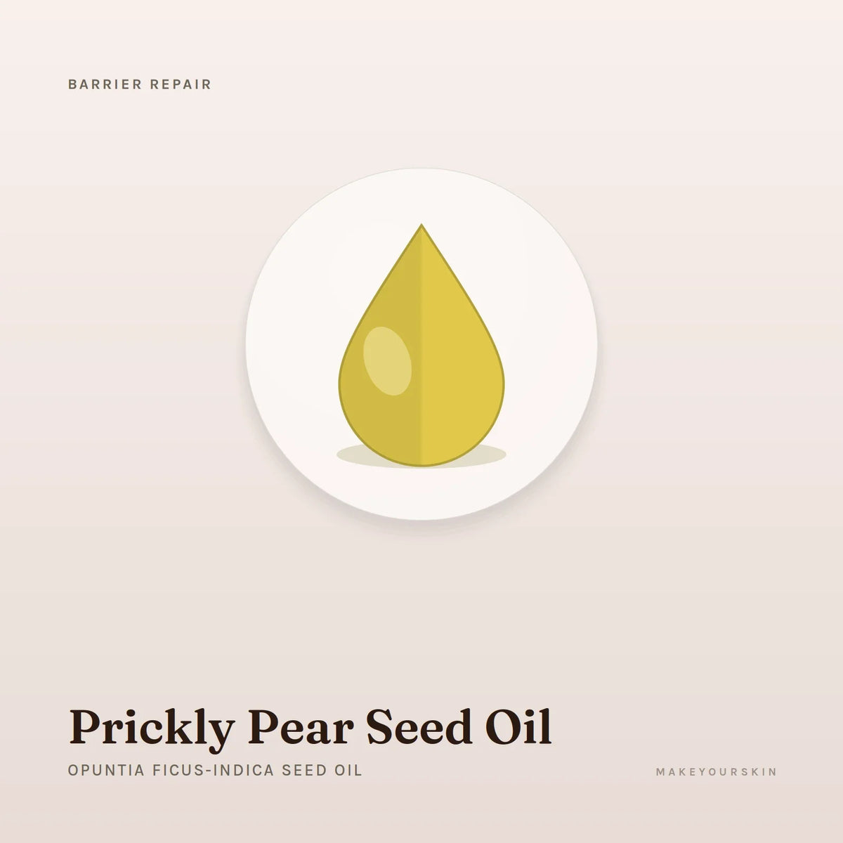 Prickly Pear Seed Oil (Opuntia Ficus-Indica Seed Oil) — oil, Global — MakeYourSkin