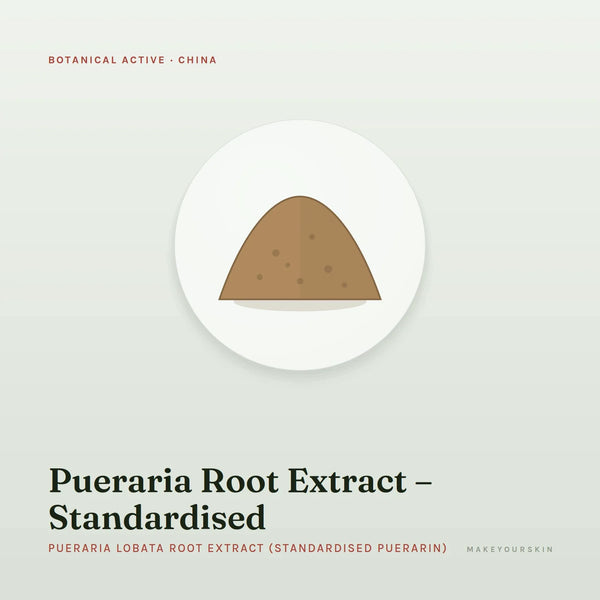 Pueraria Root Extract – Standardised (Pueraria Lobata Root Extract (Standardised Puerarin)) — powder, China · TCM — MakeYourSkin
