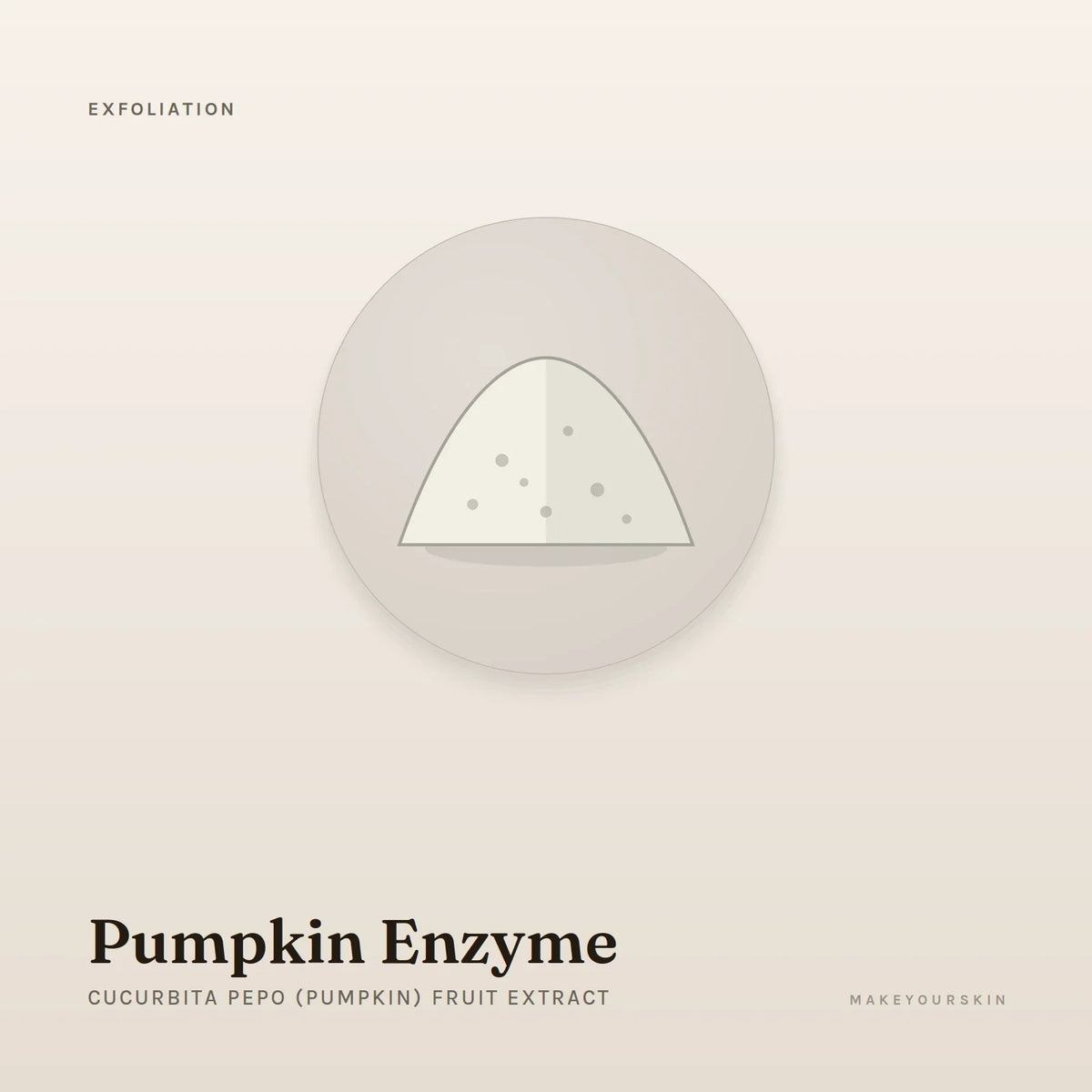 Pumpkin Enzyme (Cucurbita Pepo (Pumpkin) Fruit Extract) — powder, Global — MakeYourSkin