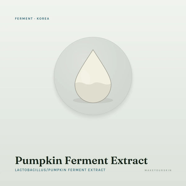 Pumpkin Ferment Extract (Lactobacillus/Pumpkin Ferment Extract) — liquid, Korea · K-Beauty — MakeYourSkin