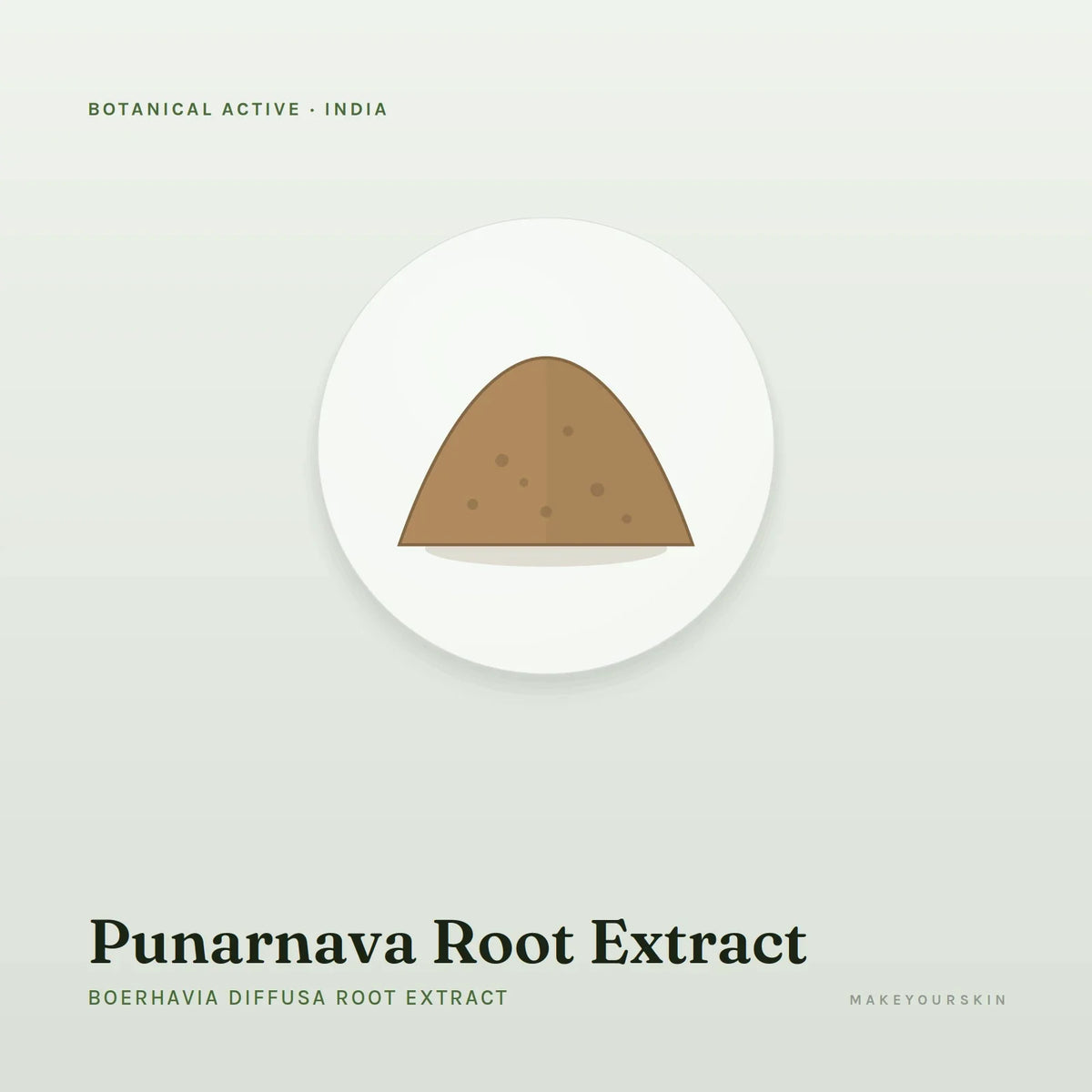 Punarnava Root Extract (Boerhavia Diffusa Root Extract) — powder, India · Ayurveda — MakeYourSkin
