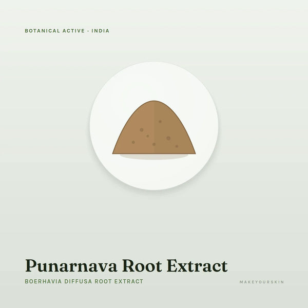 Punarnava Root Extract (Boerhavia Diffusa Root Extract) — powder, India · Ayurveda — MakeYourSkin