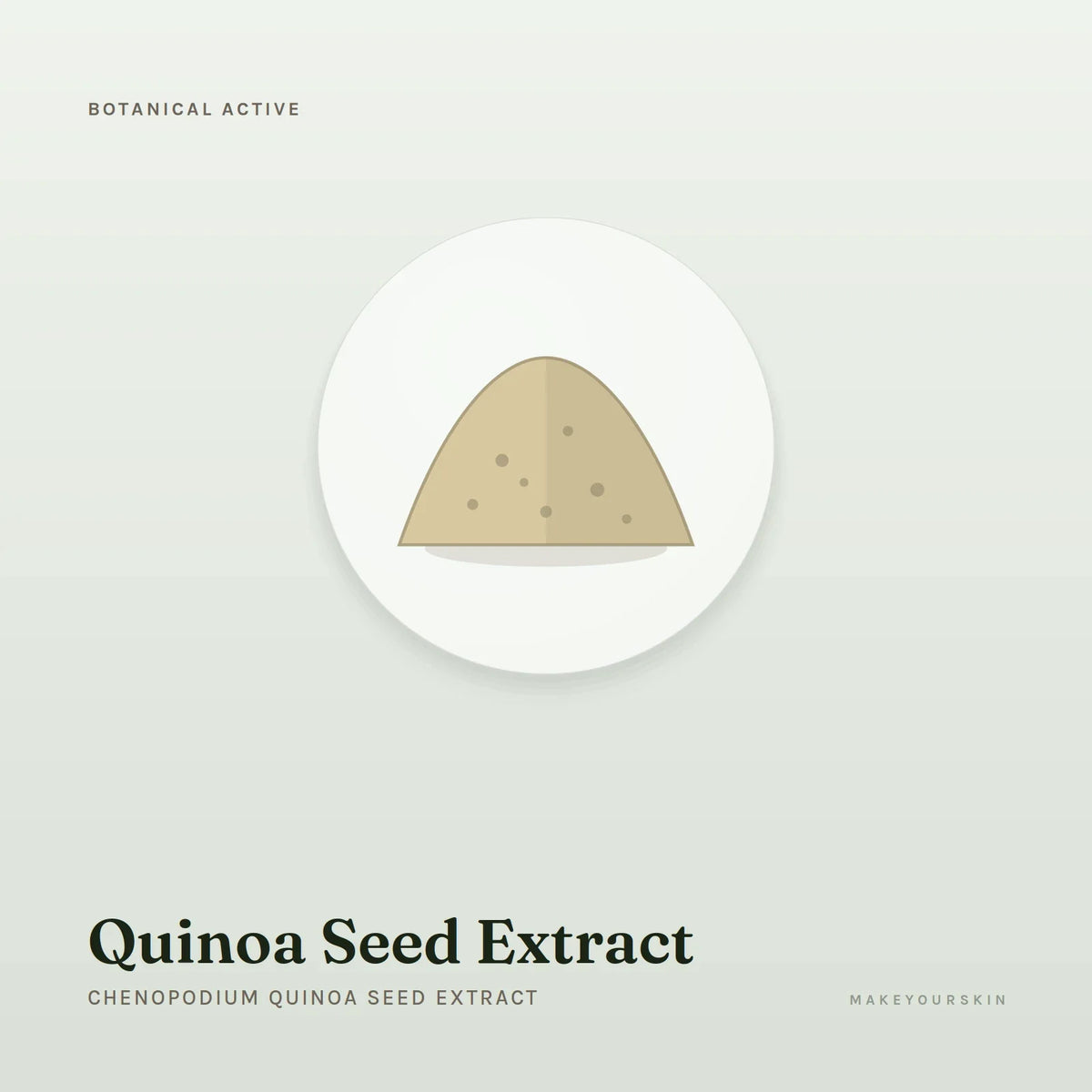 Quinoa Seed Extract (Chenopodium Quinoa Seed Extract) — powder, Global — MakeYourSkin