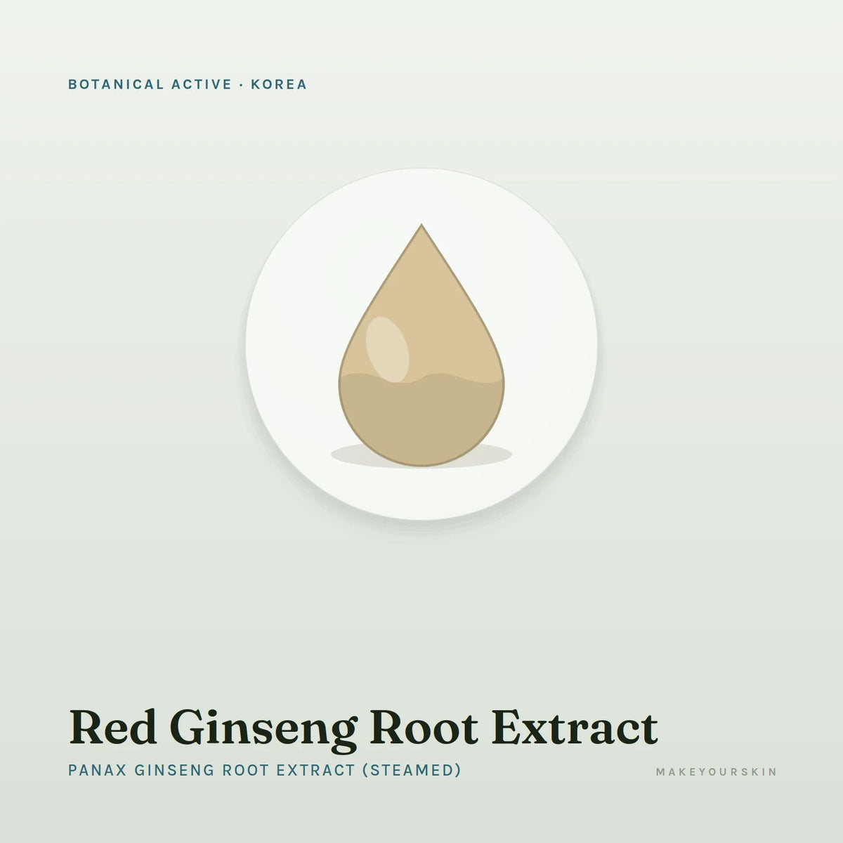 Red Ginseng Root Extract (Panax Ginseng Root Extract (Steamed)) — liquid, Korea · K-Beauty — MakeYourSkin