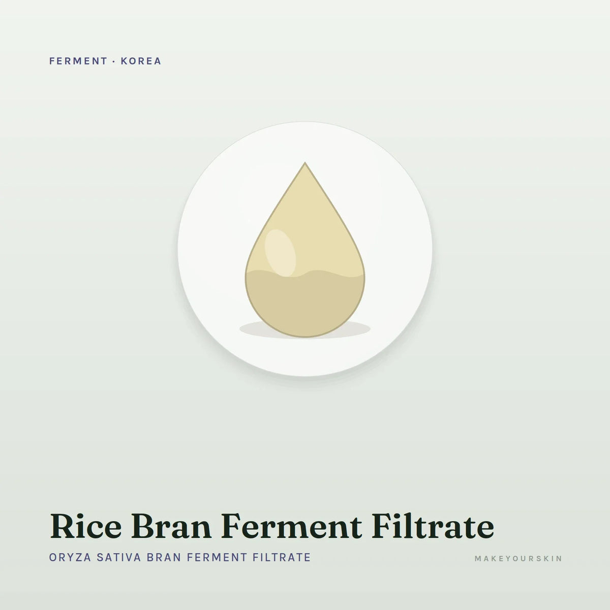 Rice Bran Ferment Filtrate (Oryza Sativa Bran Ferment Filtrate) — liquid, Korea · Japan — MakeYourSkin