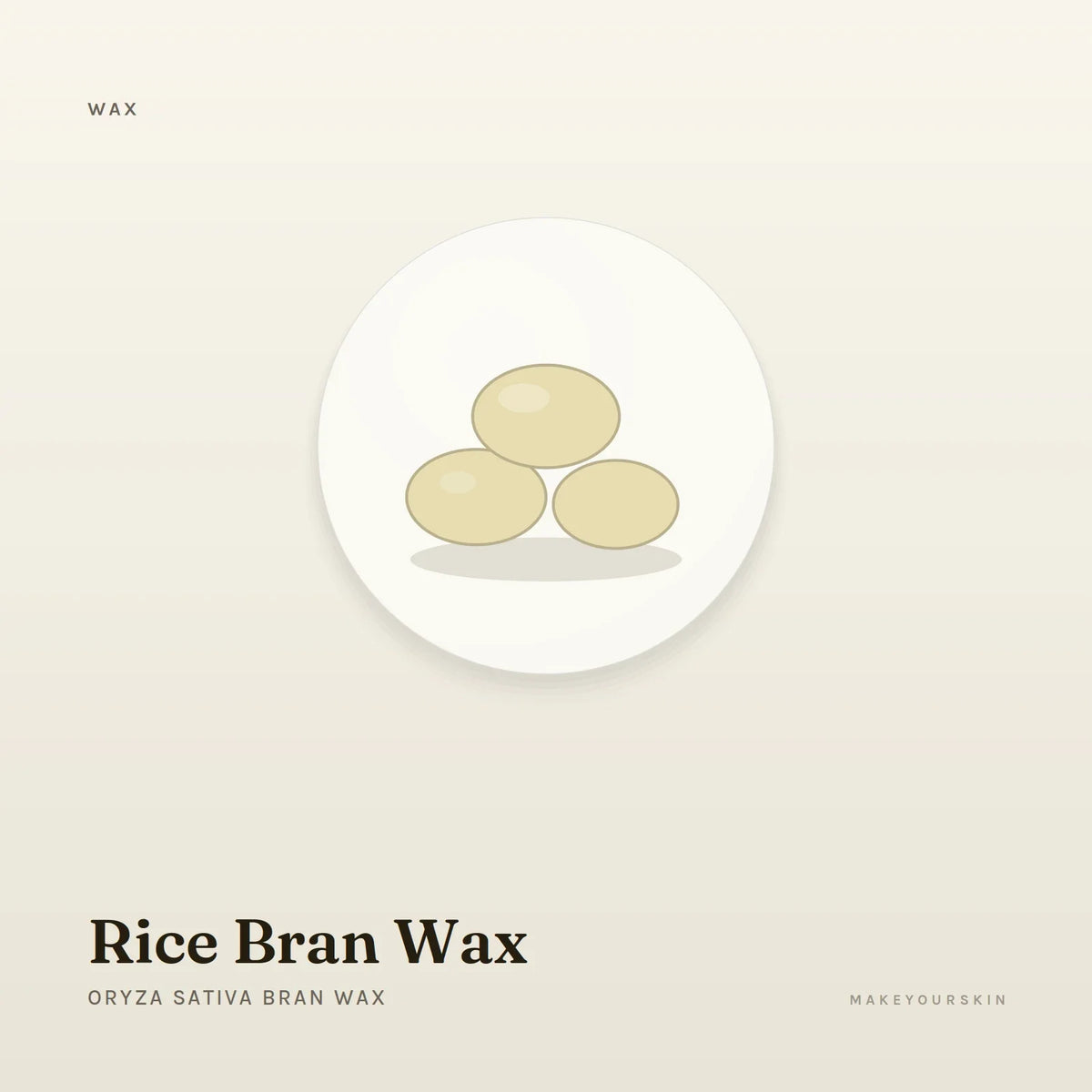 Rice Bran Wax (Oryza Sativa Bran Wax) — wax / solid, Global — MakeYourSkin