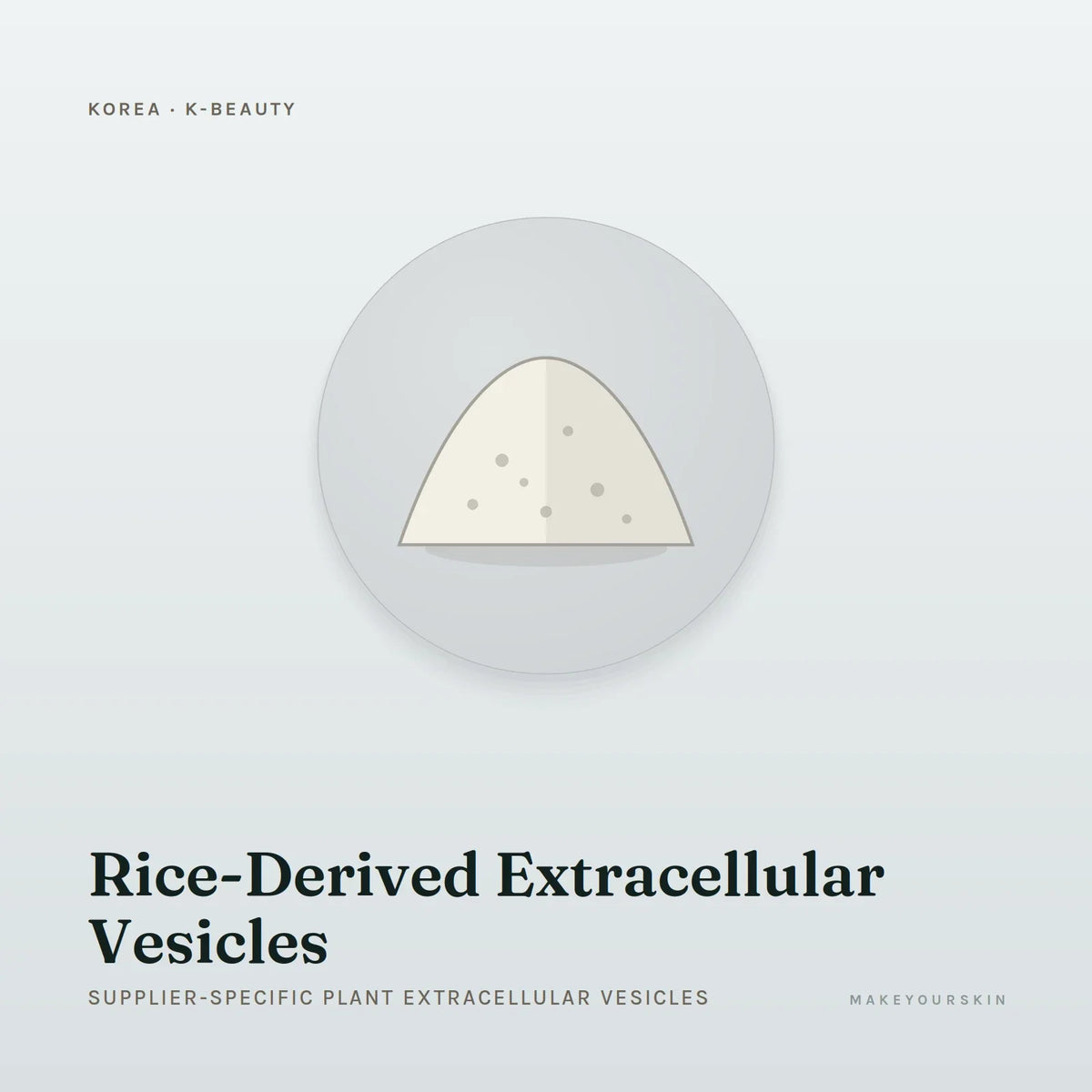 Rice-Derived Extracellular Vesicles (Supplier-specific plant extracellular vesicles) — powder, Global — MakeYourSkin