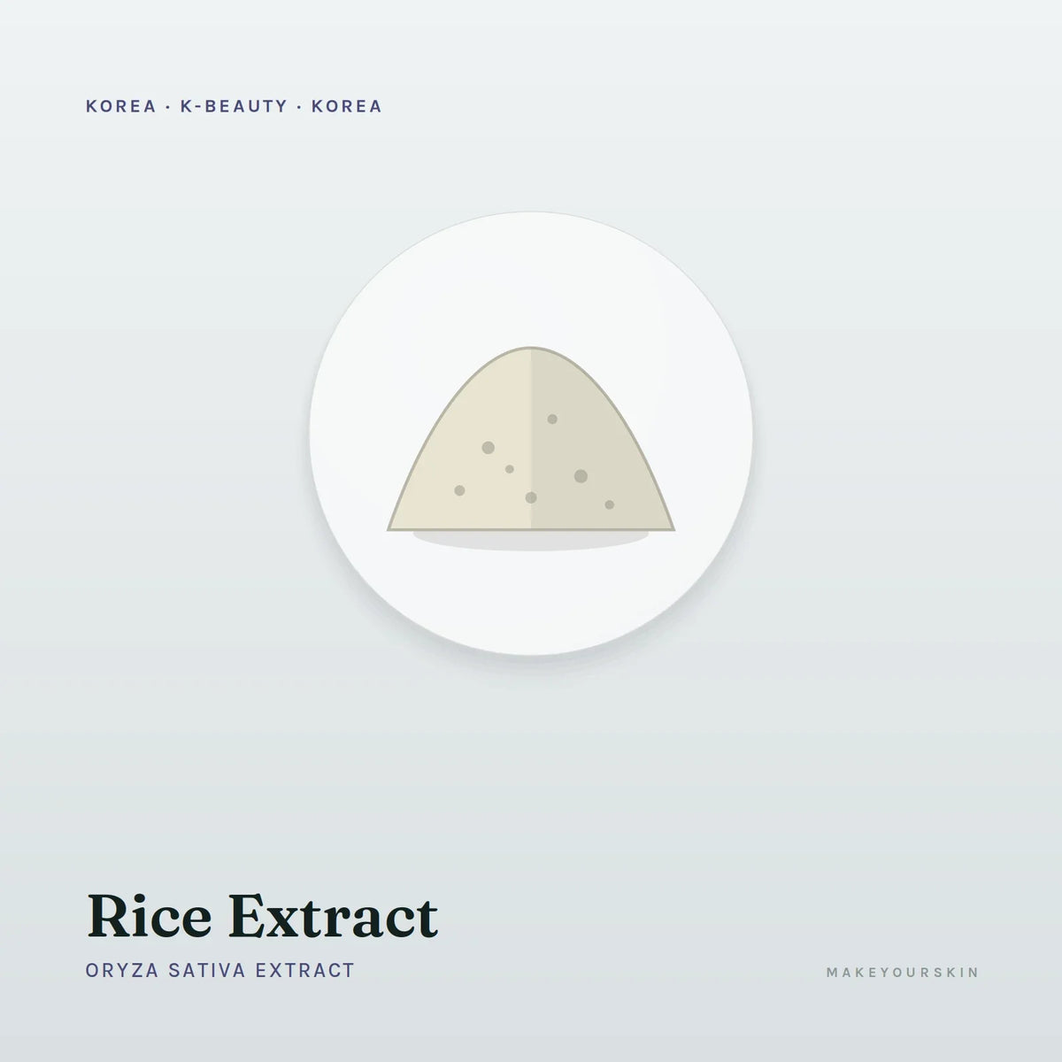 Rice Extract (Oryza Sativa Extract) — powder, Korea · Japan — MakeYourSkin