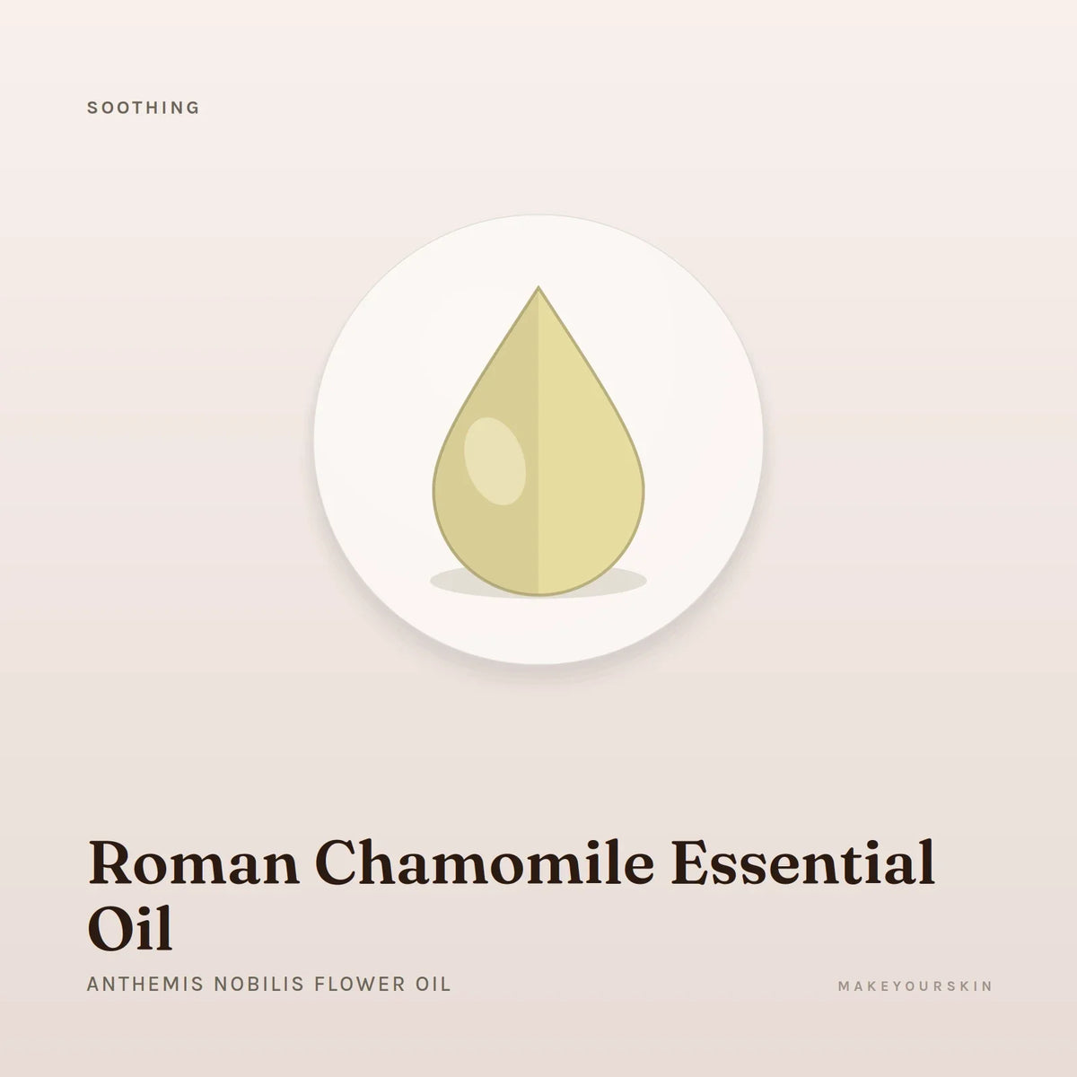 Roman Chamomile Essential Oil (Anthemis Nobilis Flower Oil) — oil, Global — MakeYourSkin