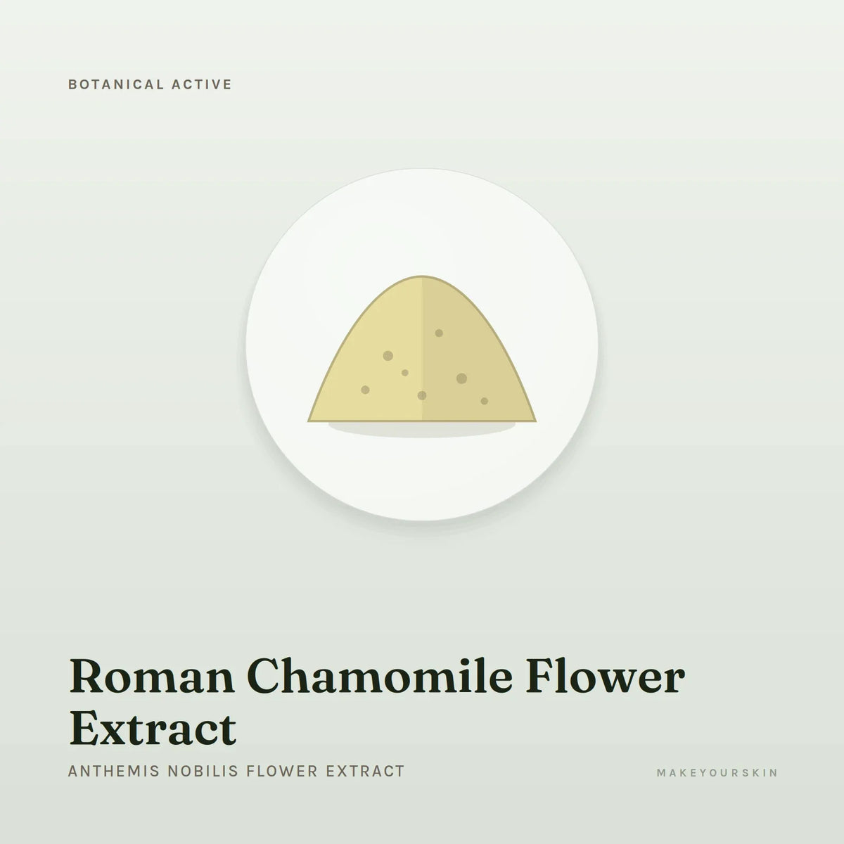 Roman Chamomile Flower Extract (Anthemis Nobilis Flower Extract) — powder, Global — MakeYourSkin