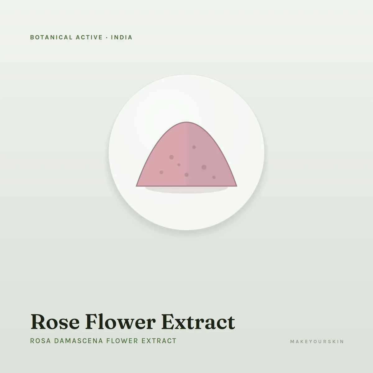 Rose Flower Extract (Rosa Damascena Flower Extract) — powder, India · Ayurveda — MakeYourSkin