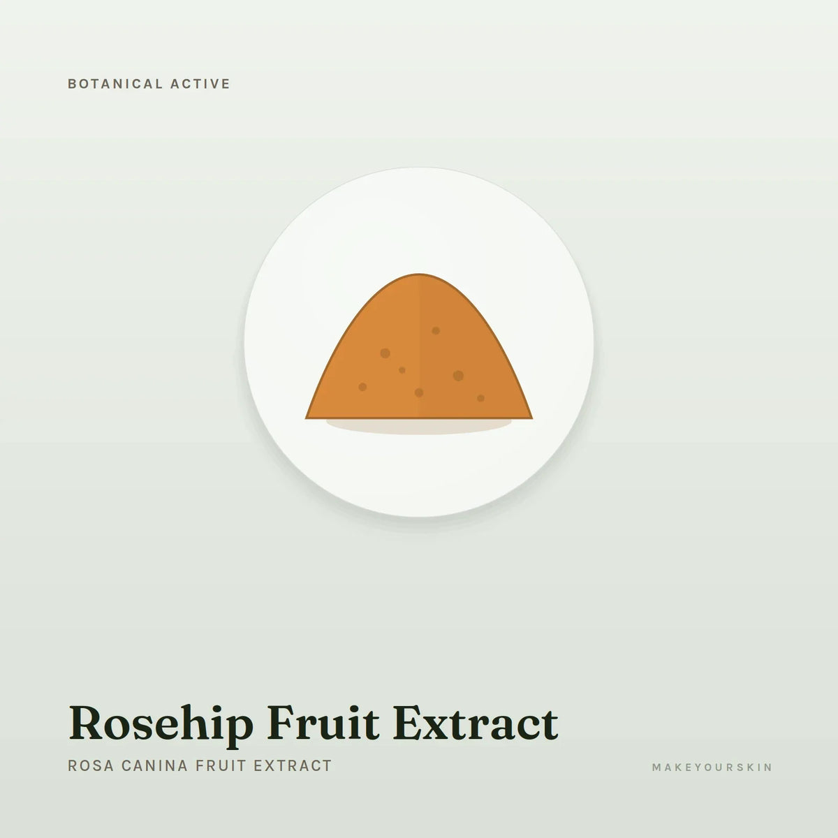 Rosehip Fruit Extract (Rosa Canina Fruit Extract) — powder, Global — MakeYourSkin