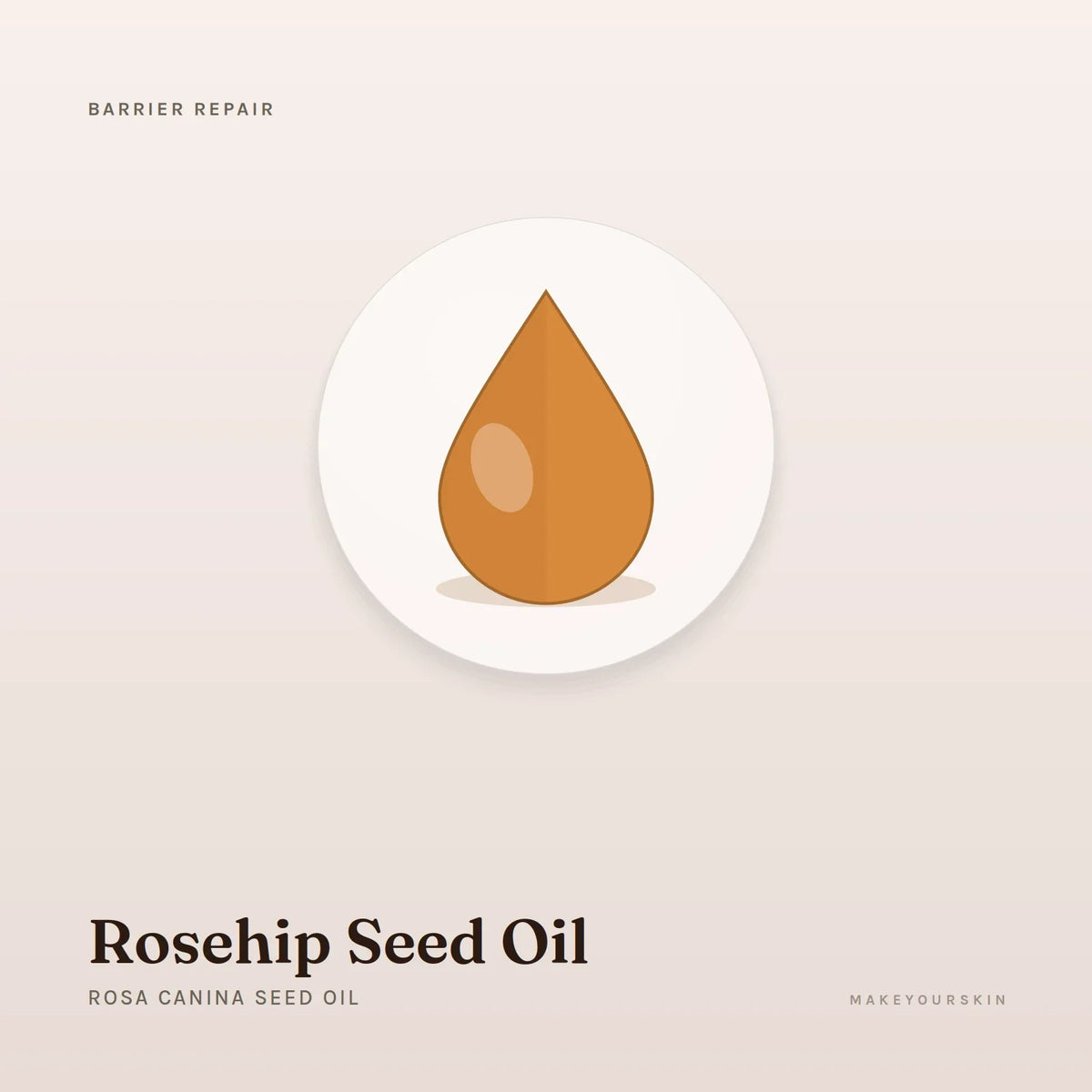 Rosehip Seed Oil (Rosa Canina Seed Oil) — oil, Global — MakeYourSkin