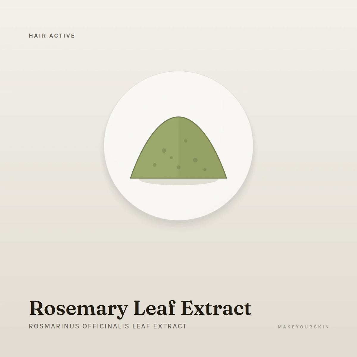 Rosemary Leaf Extract (Rosmarinus Officinalis Leaf Extract) — powder, Global — MakeYourSkin