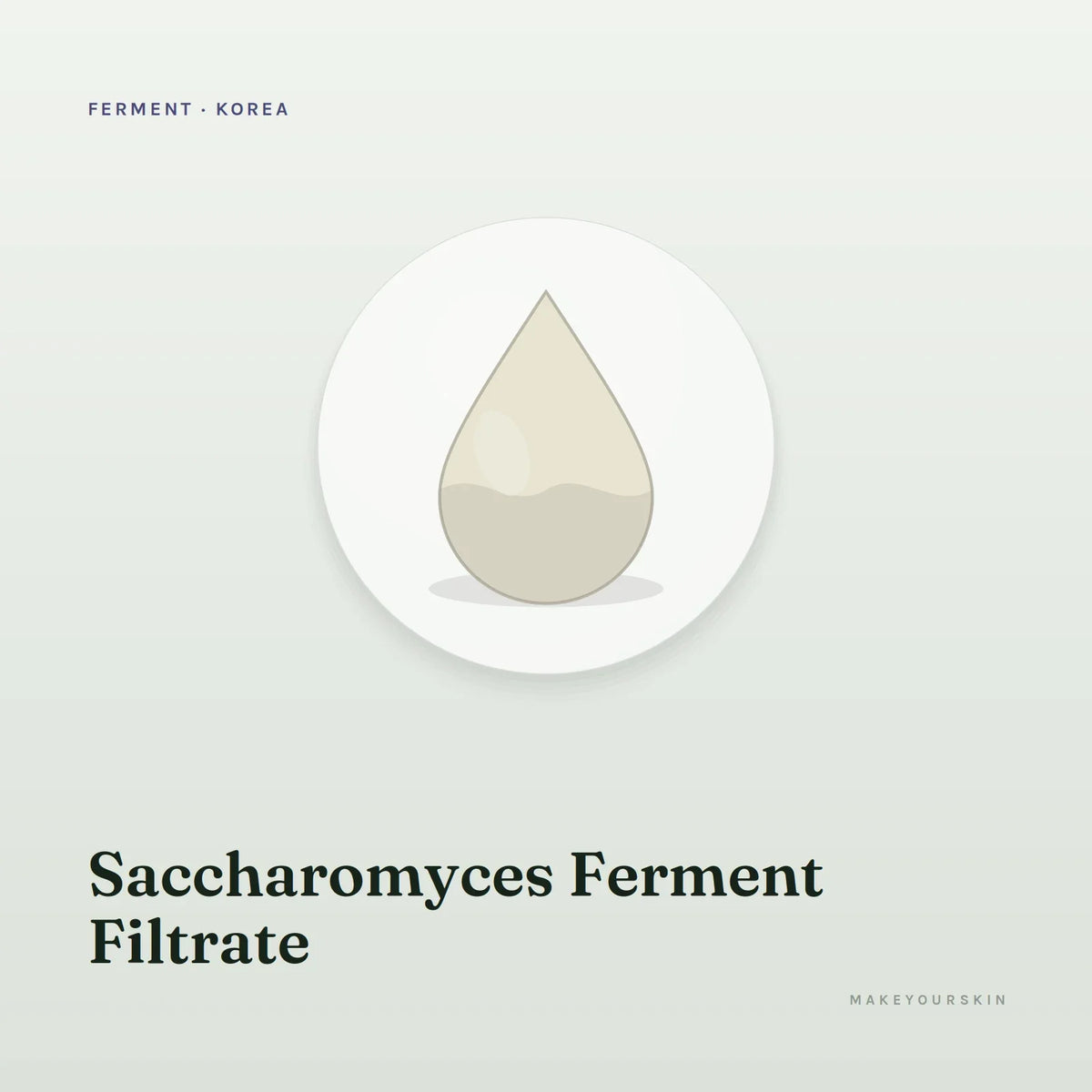 Saccharomyces Ferment Filtrate — liquid, Korea · Japan — MakeYourSkin