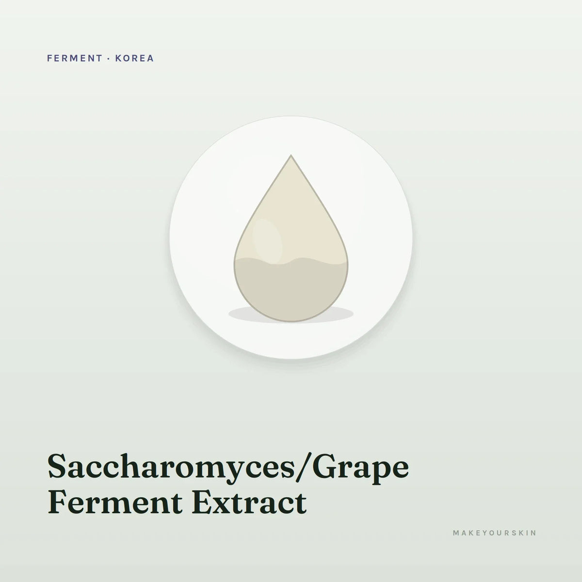Saccharomyces/Grape Ferment Extract — liquid, Korea · Japan — MakeYourSkin