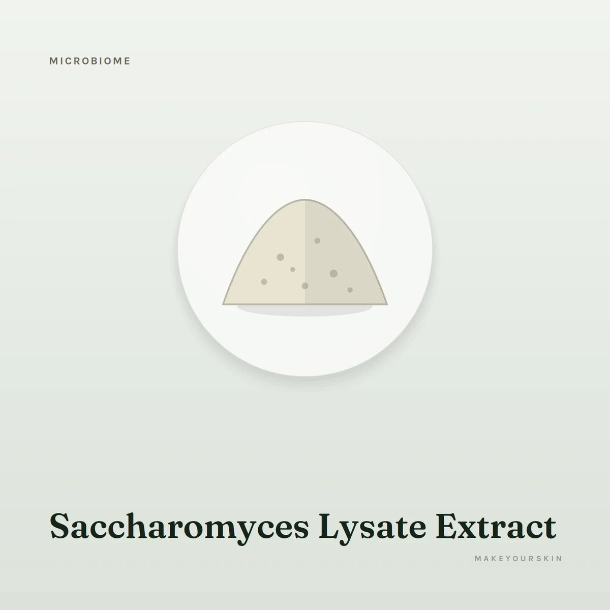 Saccharomyces Lysate Extract — powder, Global — MakeYourSkin