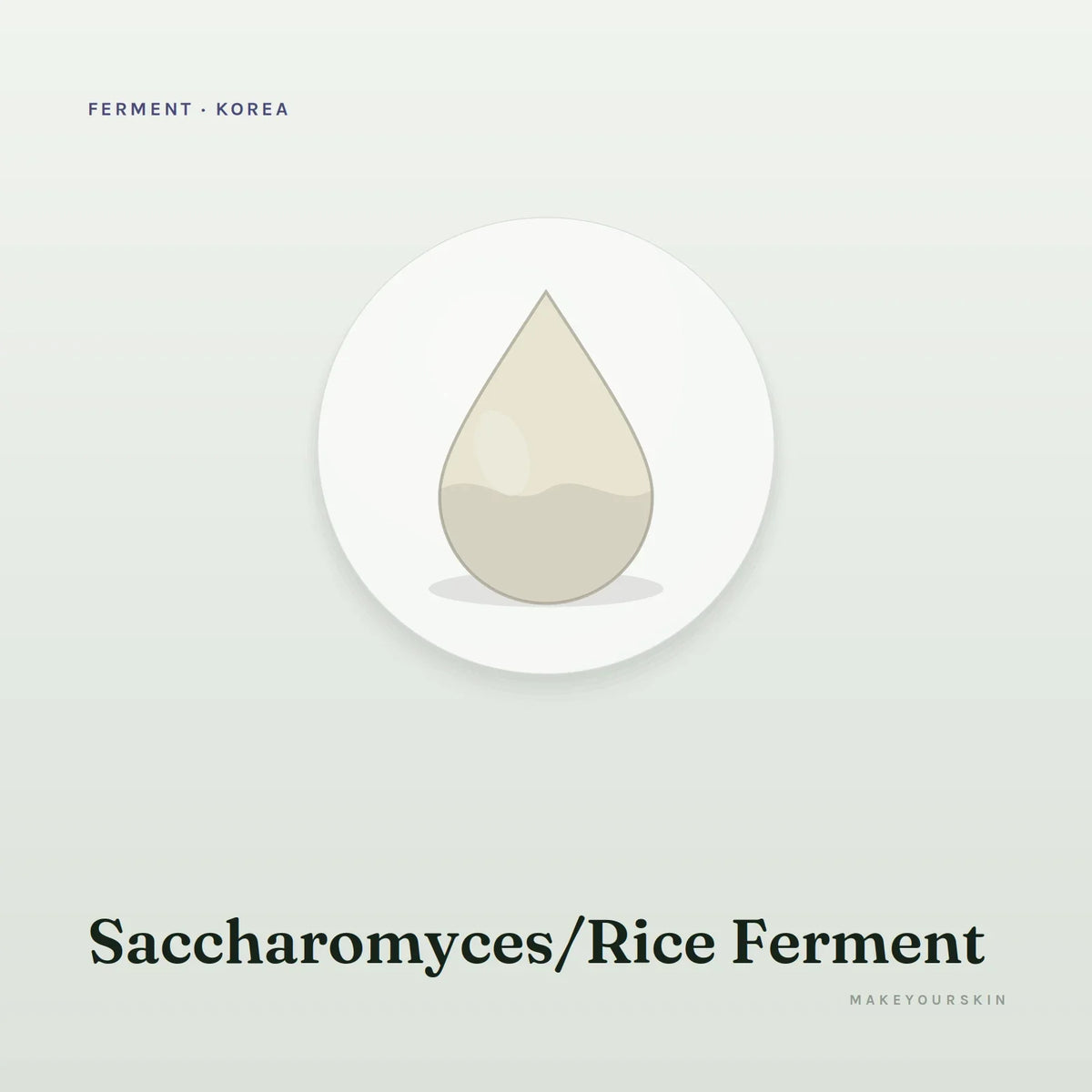 Saccharomyces/Rice Ferment — liquid, Korea · Japan — MakeYourSkin
