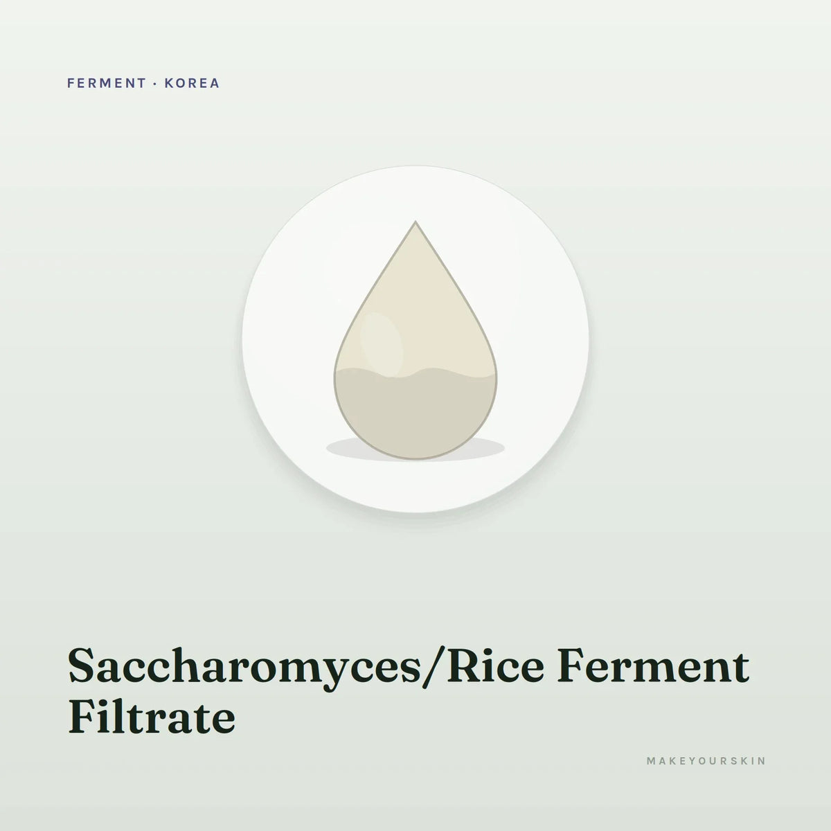 Saccharomyces/Rice Ferment Filtrate — liquid, Korea · Japan — MakeYourSkin