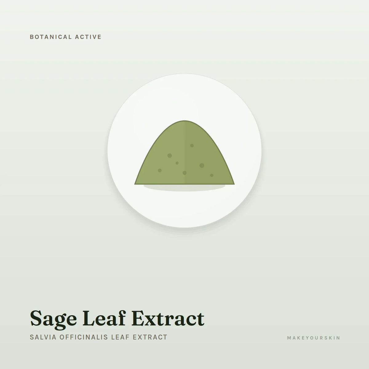 Sage Leaf Extract (Salvia Officinalis Leaf Extract) — powder, Global — MakeYourSkin