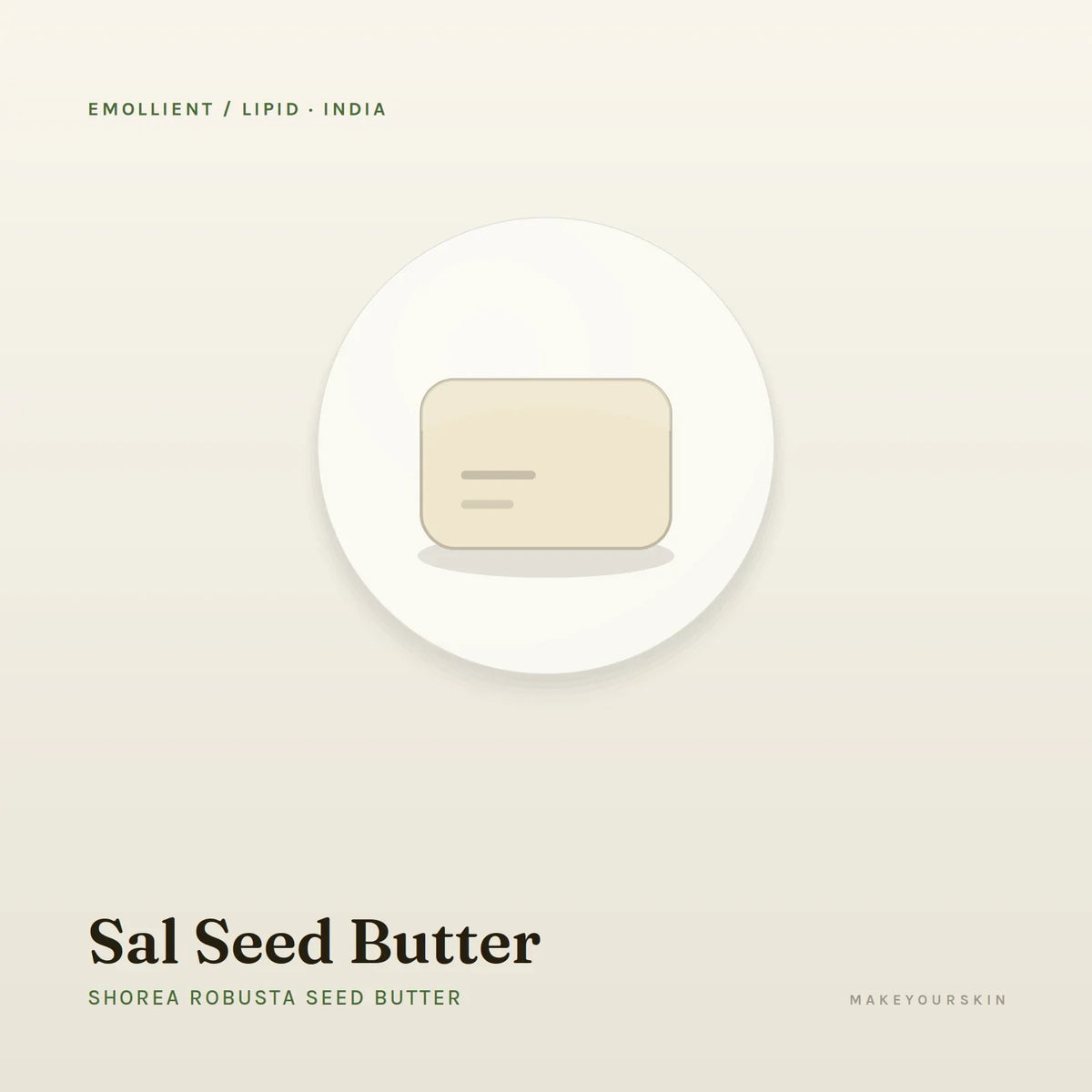 Sal Seed Butter (Shorea Robusta Seed Butter) — butter, India · Ayurveda — MakeYourSkin