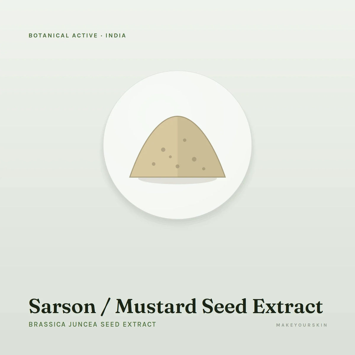 Sarson / Mustard Seed Extract (Brassica Juncea Seed Extract) — powder, India · Ayurveda — MakeYourSkin
