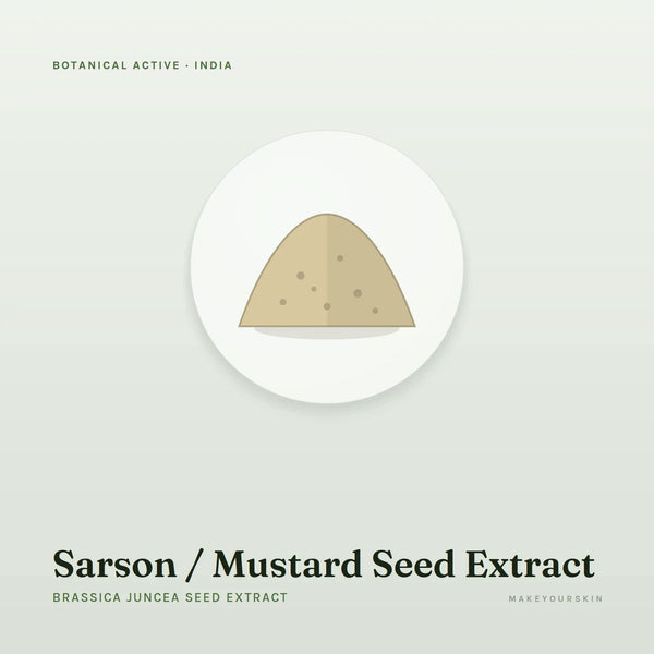 Sarson / Mustard Seed Extract (Brassica Juncea Seed Extract) — powder, India · Ayurveda — MakeYourSkin