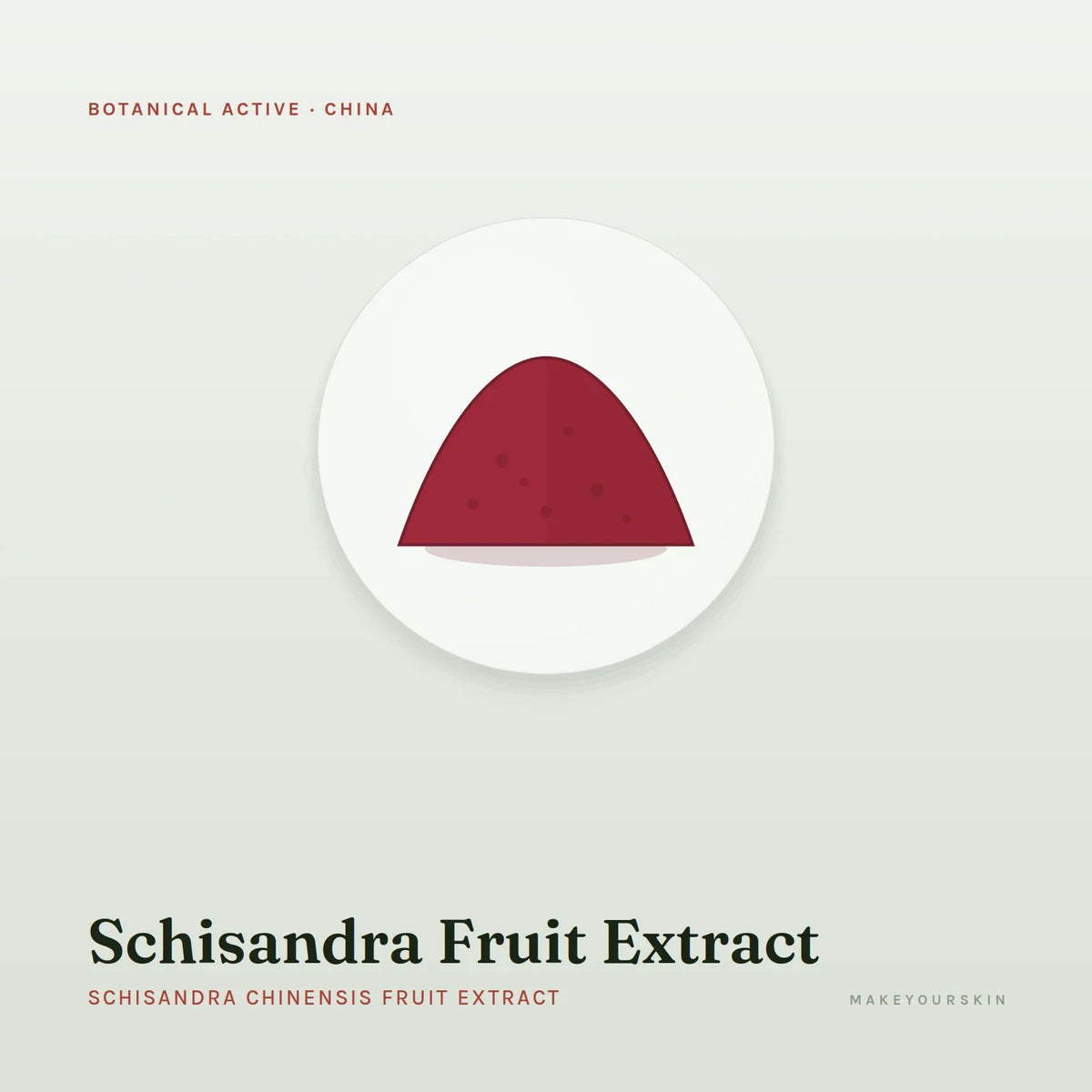 Schisandra Fruit Extract (Schisandra Chinensis Fruit Extract) — powder, China · TCM — MakeYourSkin