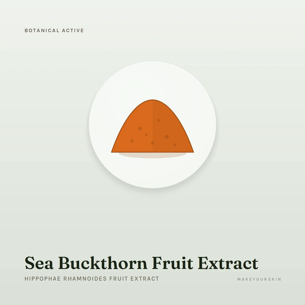 Sea Buckthorn Fruit Extract (Hippophae Rhamnoides Fruit Extract) — powder, Global — MakeYourSkin