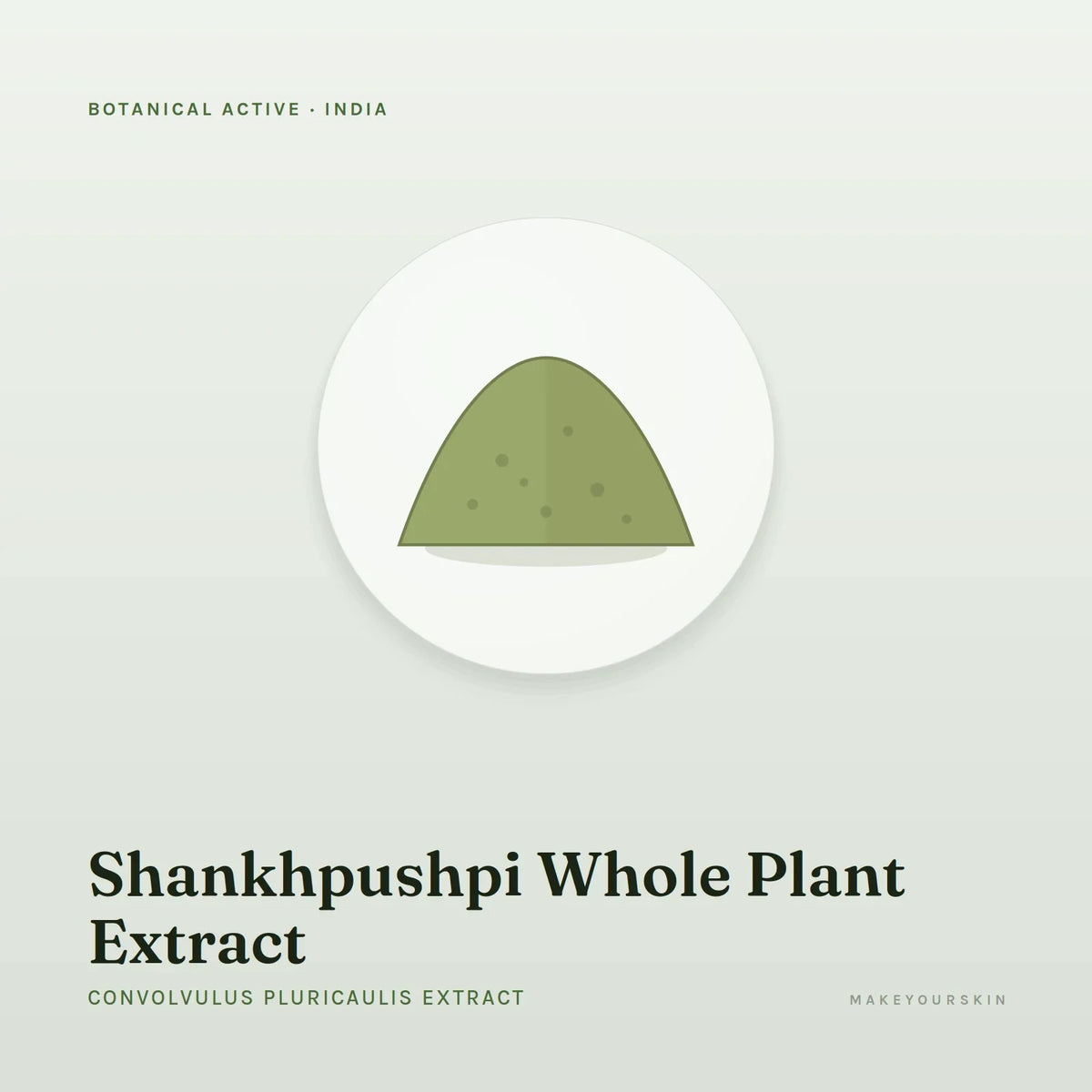 Shankhpushpi Whole Plant Extract (Convolvulus Pluricaulis Extract) — powder, India · Ayurveda — MakeYourSkin