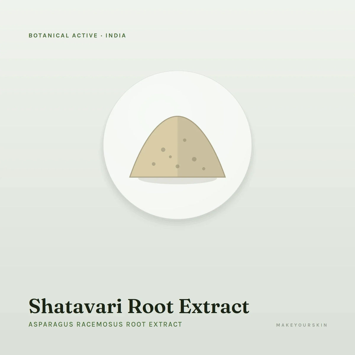 Shatavari Root Extract (Asparagus Racemosus Root Extract) — powder, India · Ayurveda — MakeYourSkin
