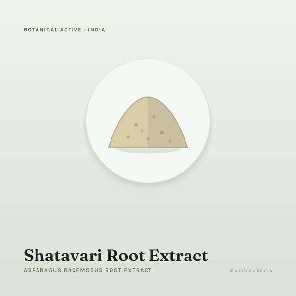 Shatavari Root Extract (Asparagus Racemosus Root Extract) — powder, India · Ayurveda — MakeYourSkin