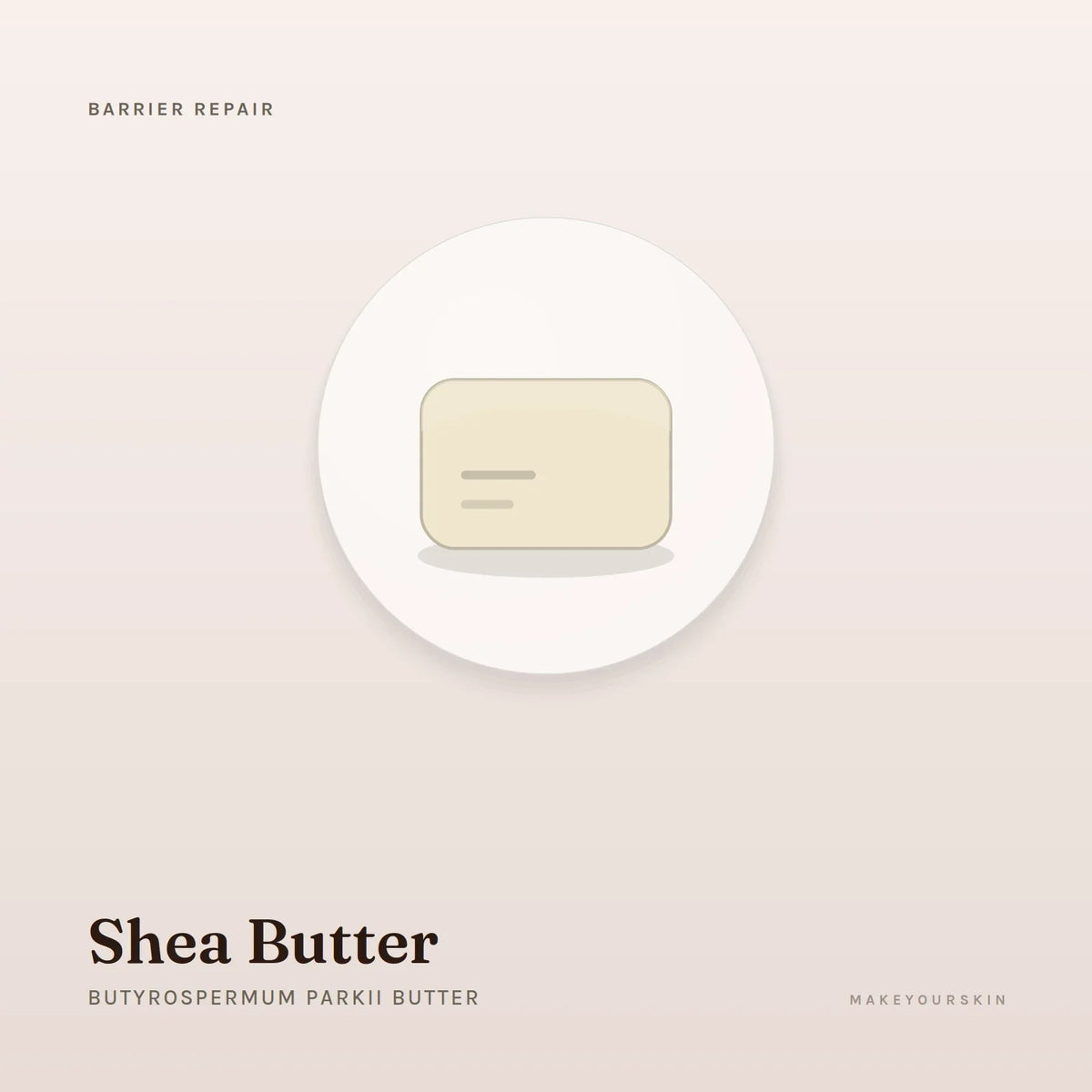 Shea Butter (Butyrospermum Parkii Butter) — butter, Global — MakeYourSkin