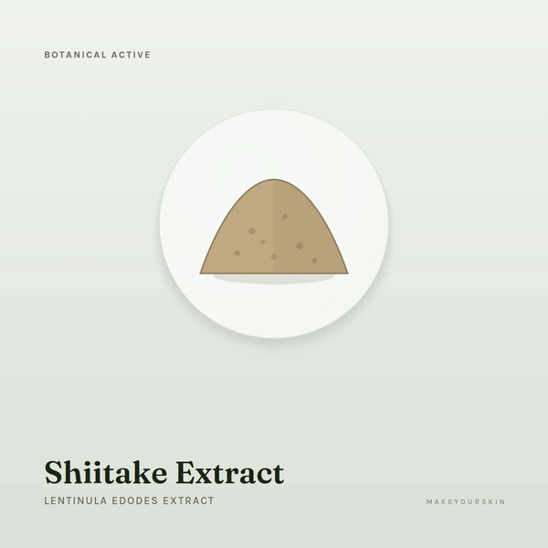 Shiitake Extract (Lentinula Edodes Extract) — powder, Global — MakeYourSkin