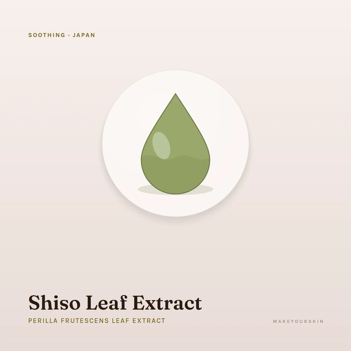 Shiso Leaf Extract (Perilla Frutescens Leaf Extract) — liquid, Japan · J-Beauty — MakeYourSkin