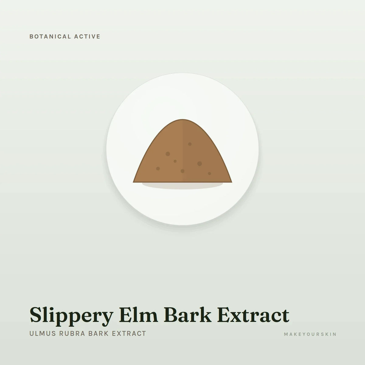 Slippery Elm Bark Extract (Ulmus Rubra Bark Extract) — powder, Global — MakeYourSkin