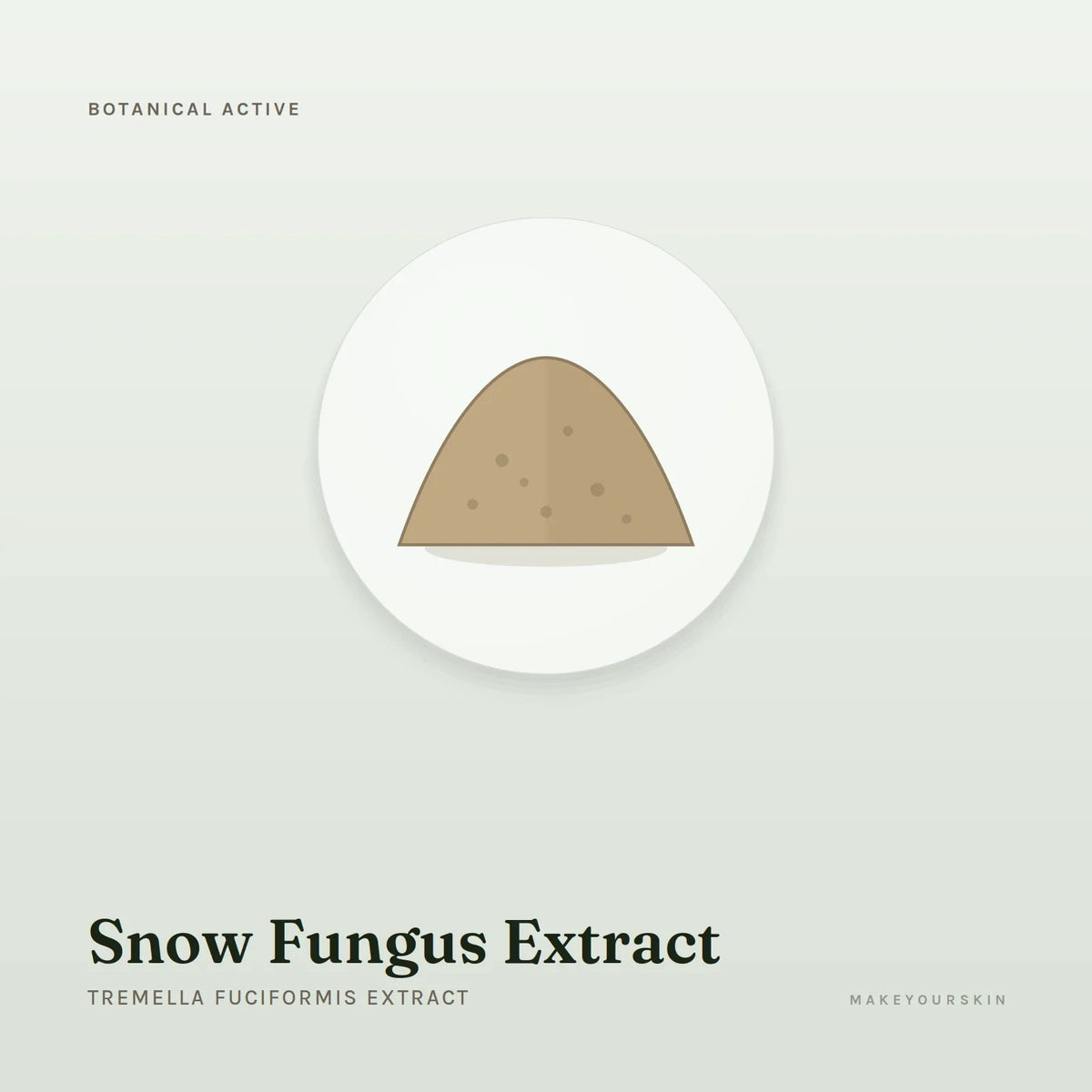 Snow Fungus Extract (Tremella Fuciformis Extract) — powder, Global — MakeYourSkin