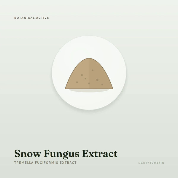 Snow Fungus Extract (Tremella Fuciformis Extract) — powder, Global — MakeYourSkin
