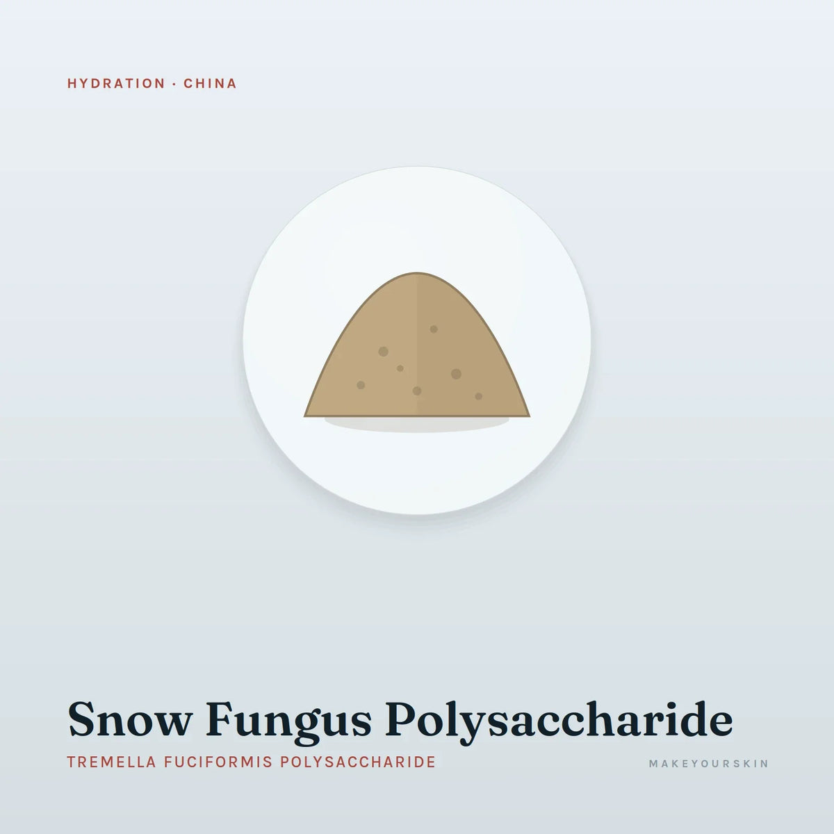 Snow Fungus Polysaccharide (Tremella Fuciformis Polysaccharide) — powder, China · TCM — MakeYourSkin