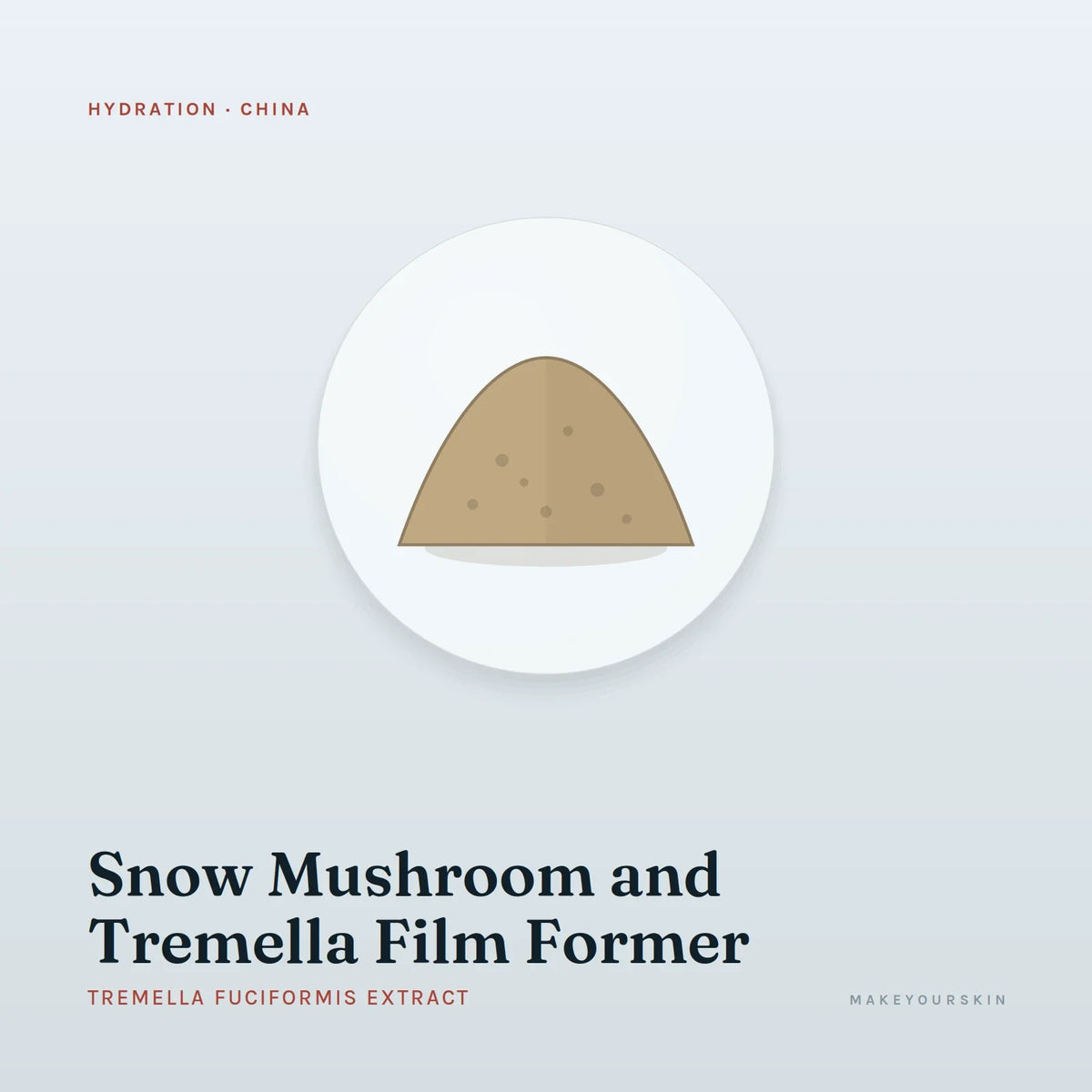 Snow Mushroom and Tremella Film Former (Tremella Fuciformis Extract) — powder, China · TCM — MakeYourSkin