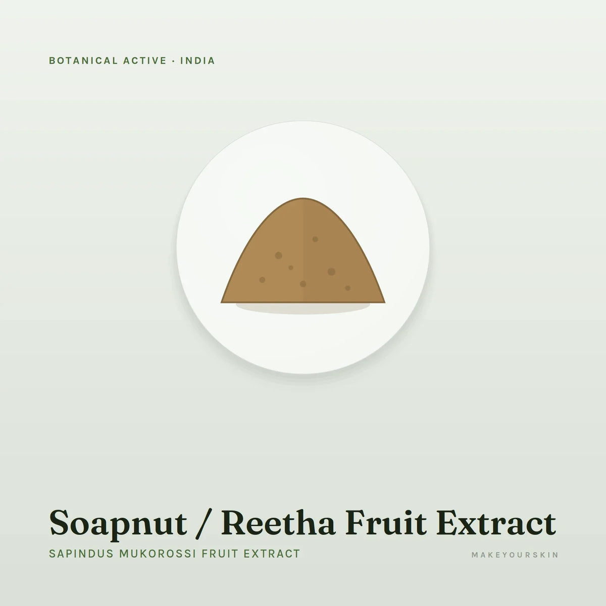 Soapnut / Reetha Fruit Extract (Sapindus Mukorossi Fruit Extract) — powder, India · Ayurveda — MakeYourSkin