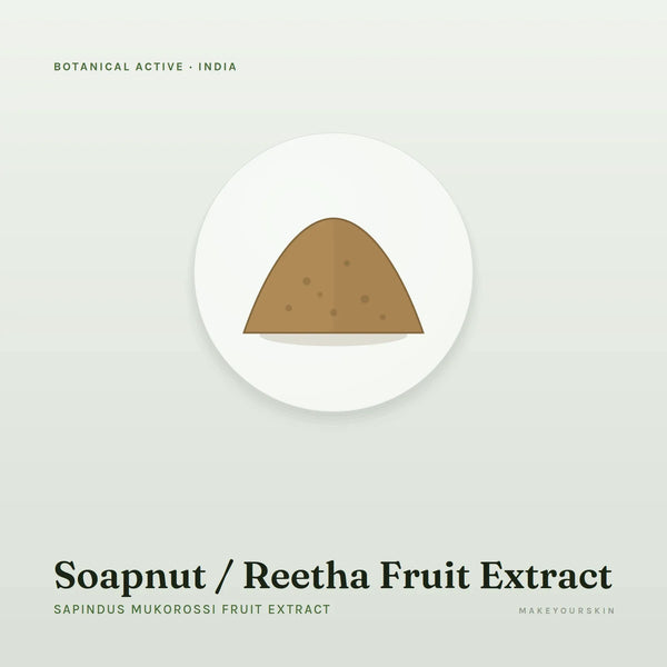 Soapnut / Reetha Fruit Extract (Sapindus Mukorossi Fruit Extract) — powder, India · Ayurveda — MakeYourSkin