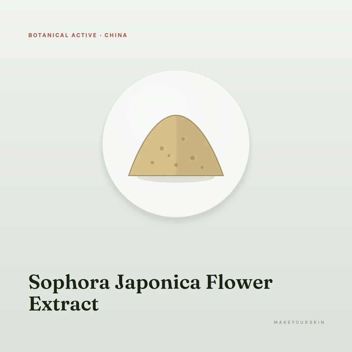 Sophora Japonica Flower Extract — powder, China · TCM — MakeYourSkin