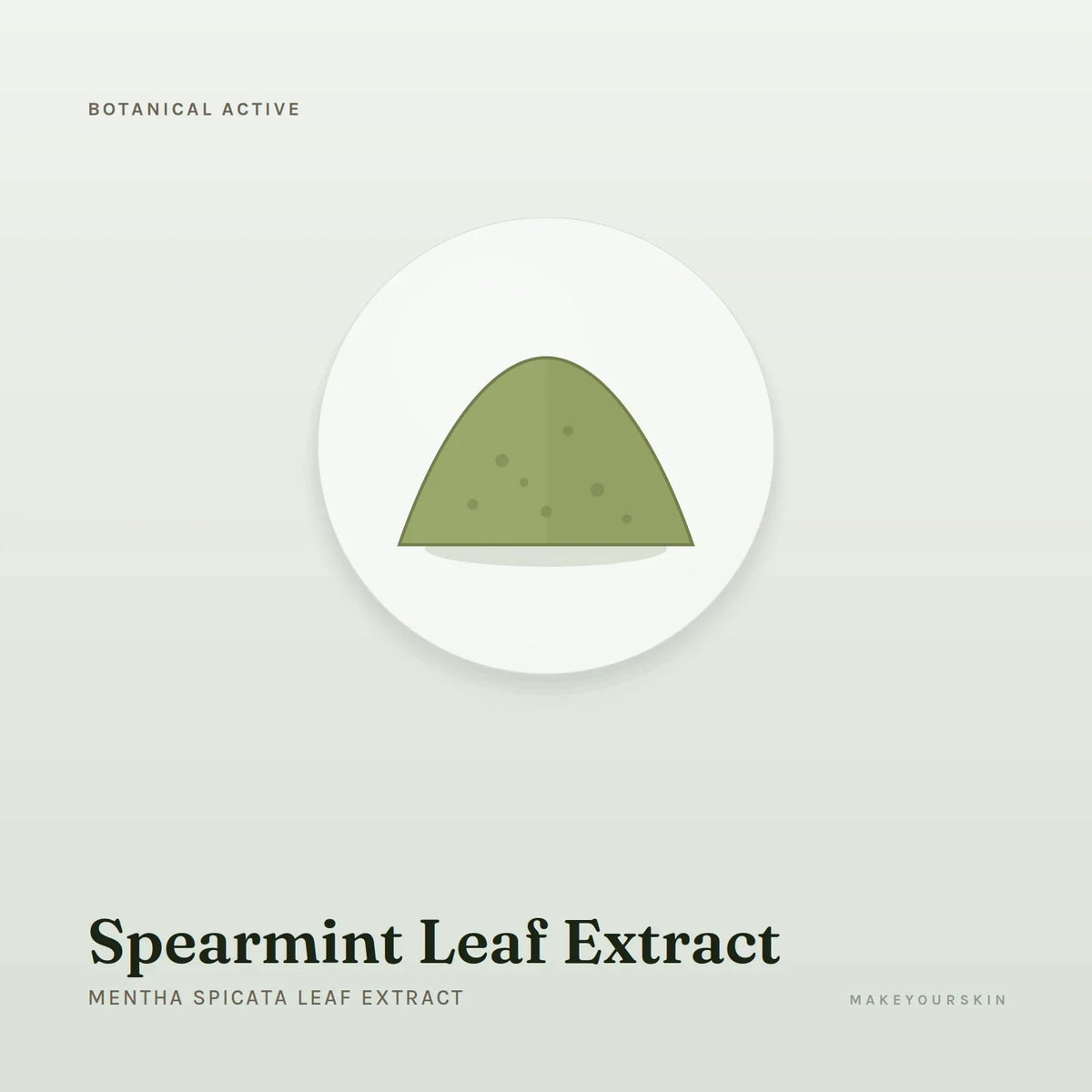 Spearmint Leaf Extract (Mentha Spicata Leaf Extract) — powder, Global — MakeYourSkin